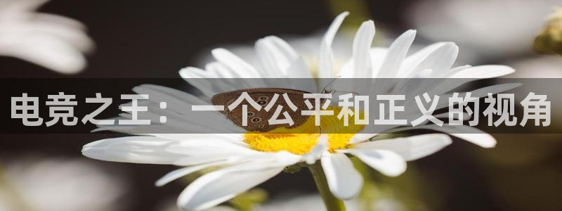 完美电竞app：电竞之王：一个公平和正义的视角