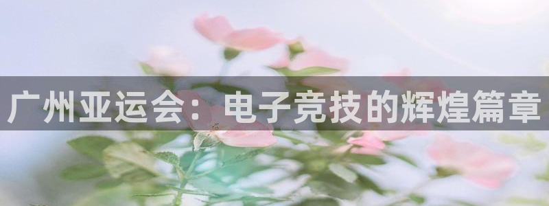 完美电竞大会员：广州亚运会：电子竞技的辉煌篇章