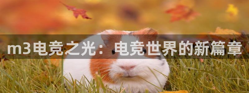 完美电竞联赛：m3电竞之光：电竞世界的新篇章