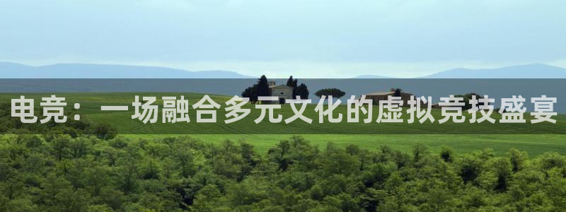 完美电竞官网首页：电竞：一场融合多元文化的虚拟竞技盛宴
