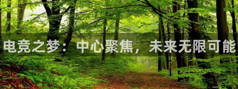 完美电竞平台排行榜：电竞之梦：中心聚焦，未来无限可能