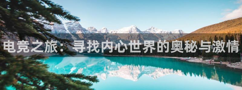 完美电竞手机app：电竞之旅：寻找内心世界的奥秘与激情