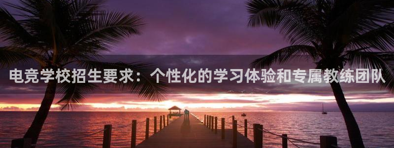 完美电竞查询：电竞学校招生要求：个性化的学习体验和专属教练团队