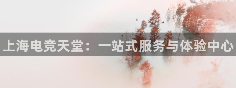 完美电竞开箱：上海电竞天堂：一站式服务与体验中心
