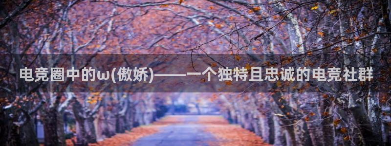 完美电竞平台下载：电竞圈中的ω(傲娇)——一个独特且忠诚的电竞社群