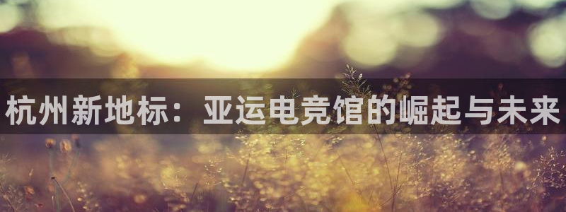 完美电竞app：杭州新地标：亚运电竞馆的崛起与未来