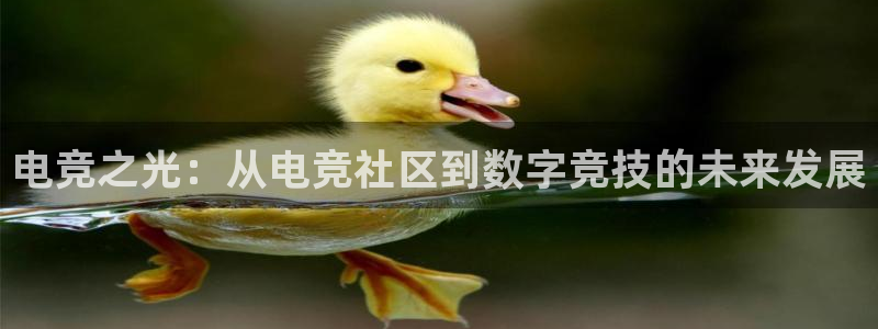 完美电竞app下载：电竞之光：从电竞社区到数字竞技的未来发展