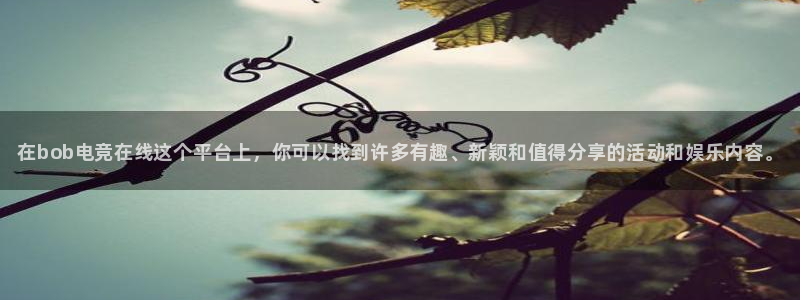 完美电竞|官网：在bob电竞在线这个平台上，你可以找到许多有趣、新颖和值得分享的活动和娱乐内容。