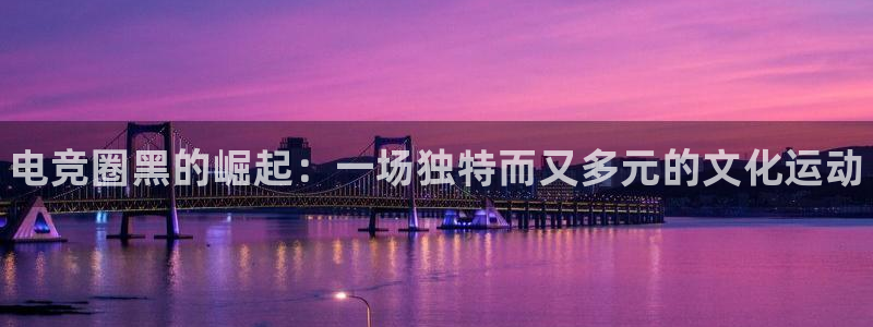 完美电竞世界平台：电竞圈黑的崛起：一场独特而又多元的文化运动