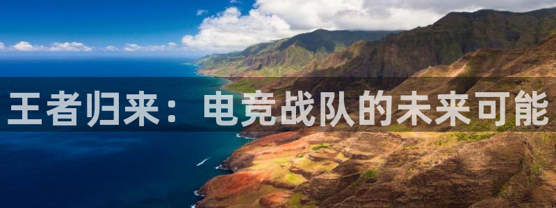 完美电竞大会员：王者归来：电竞战队的未来可能