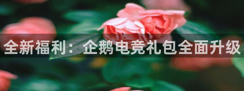 cs完美电竞平台：全新福利：企鹅电竞礼包全面升级
