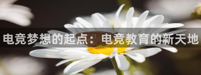 完美电竞平台官网网址：电竞梦想的起点：电竞教育的新天地