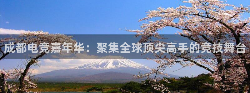 完美电竞直播：成都电竞嘉年华：聚集全球顶尖高手的竞技舞台