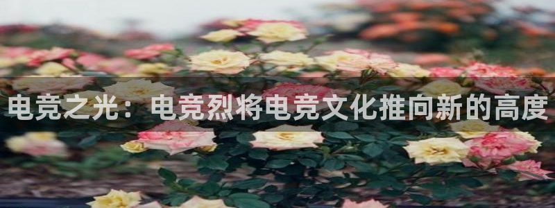 完美电竞官网：电竞之光：电竞烈将电竞文化推向新的高度