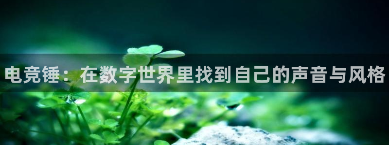 完美电竞世界平台下载：电竞锤：在数字世界里找到自己的声音与风格