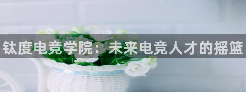 完美电竞cs：钛度电竞学院：未来电竞人才的摇篮